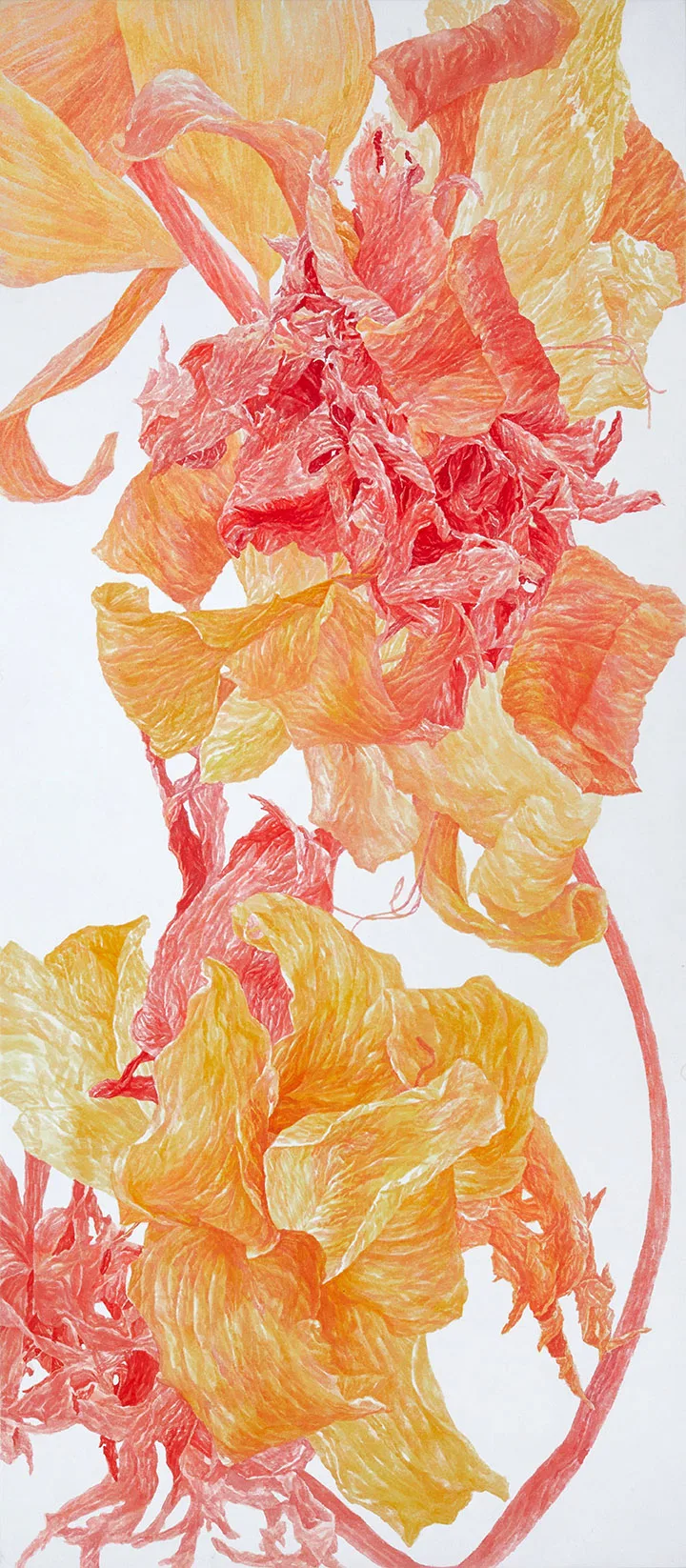 UNTITLED (REBIRTH 2)