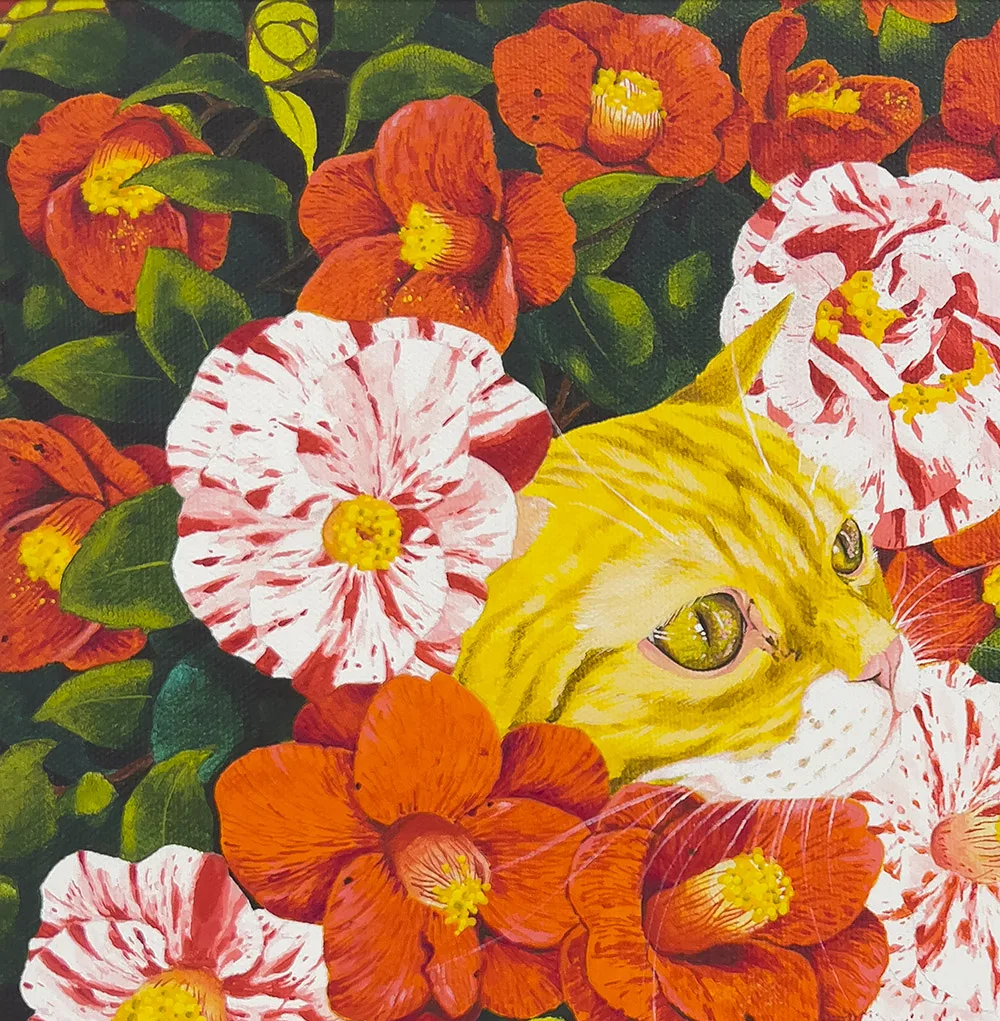 CAMELLIA CAT