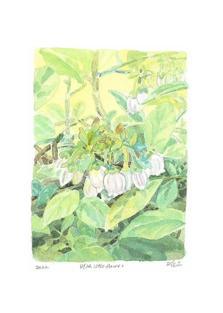 "DEAR, LITTLE FLOWER" SERIES. "BLUEBERRY FLOWER"
