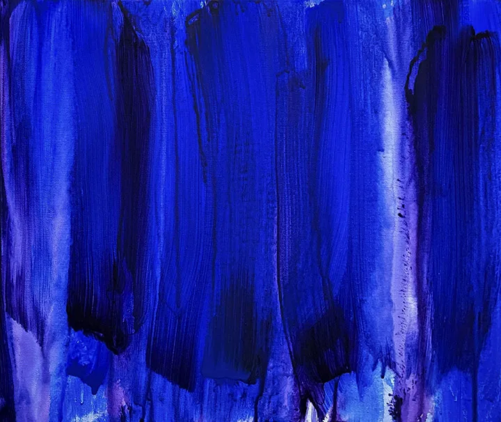 THE COLORFIELD XVII