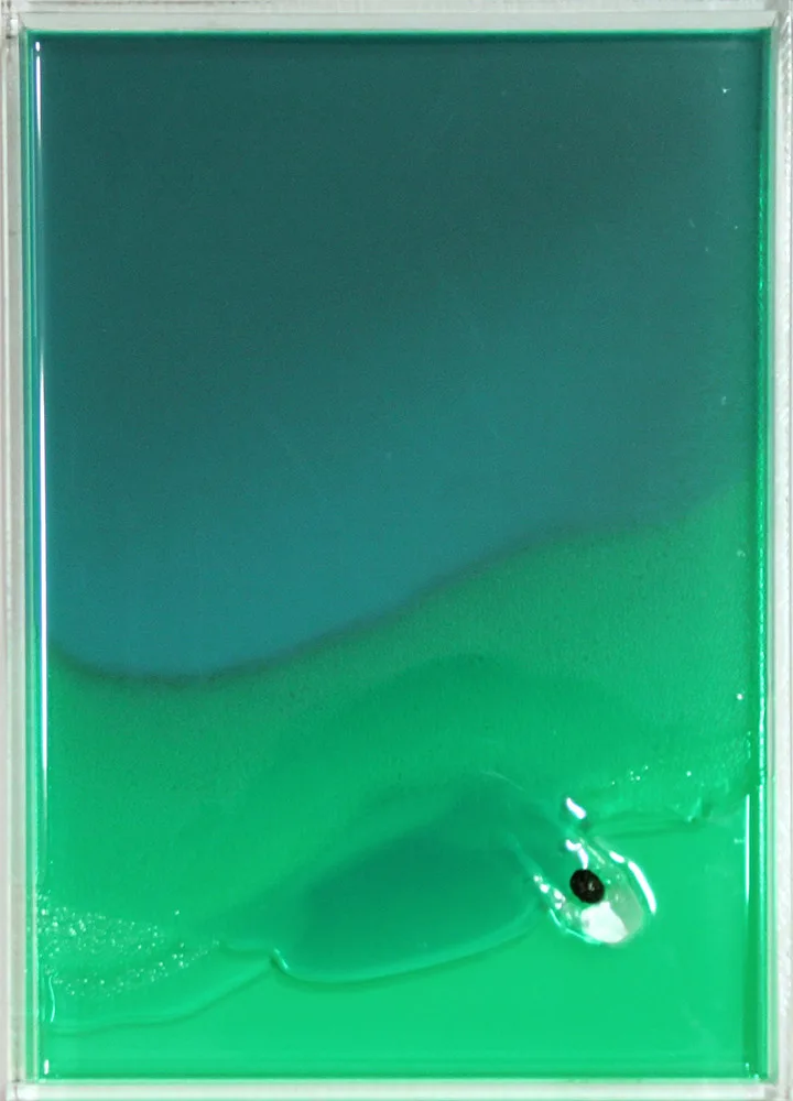 MY OCEAN 5