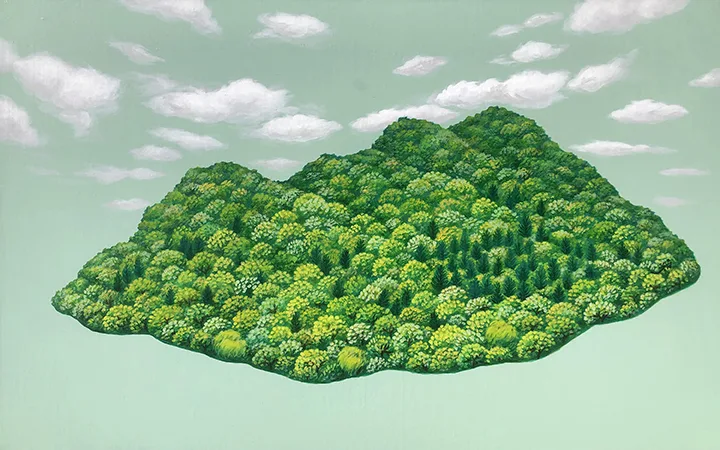 THE SUMMER MOUNTAIN