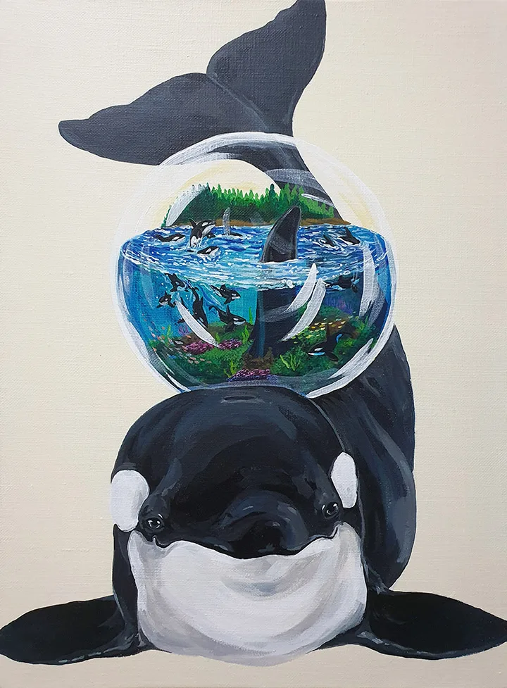 MY STORY - KILLER WHALE