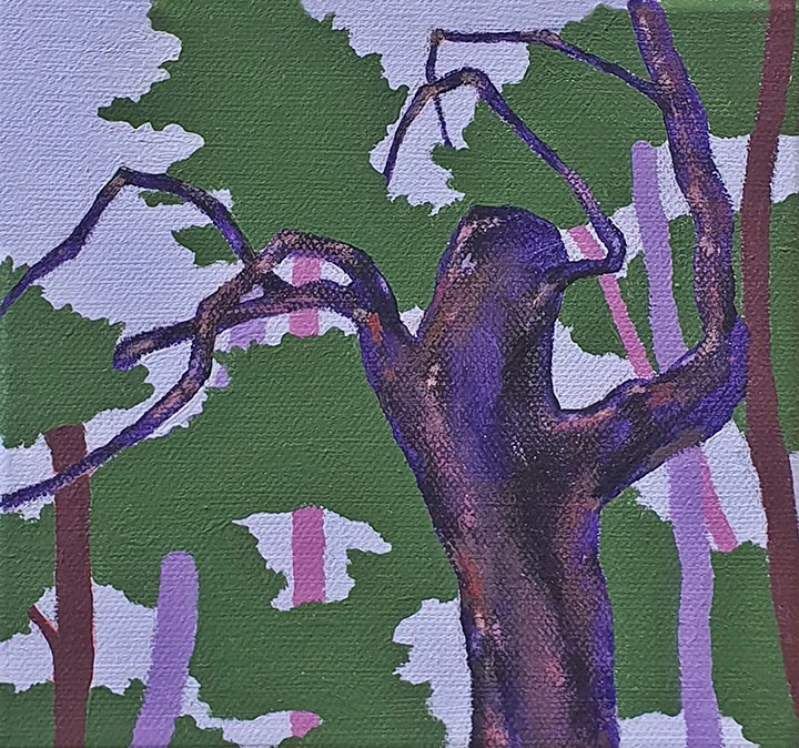 PURPLE PINE TREE 1