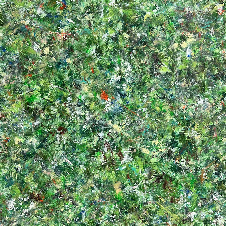A SYMPHONY IN THE FOREST