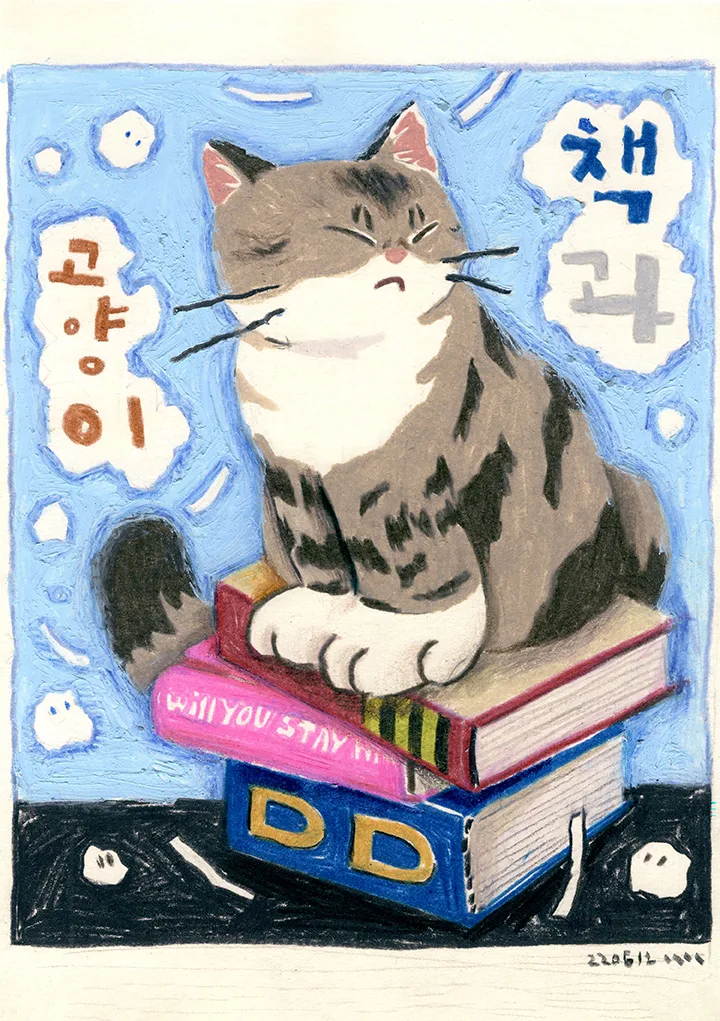 책과 고양이