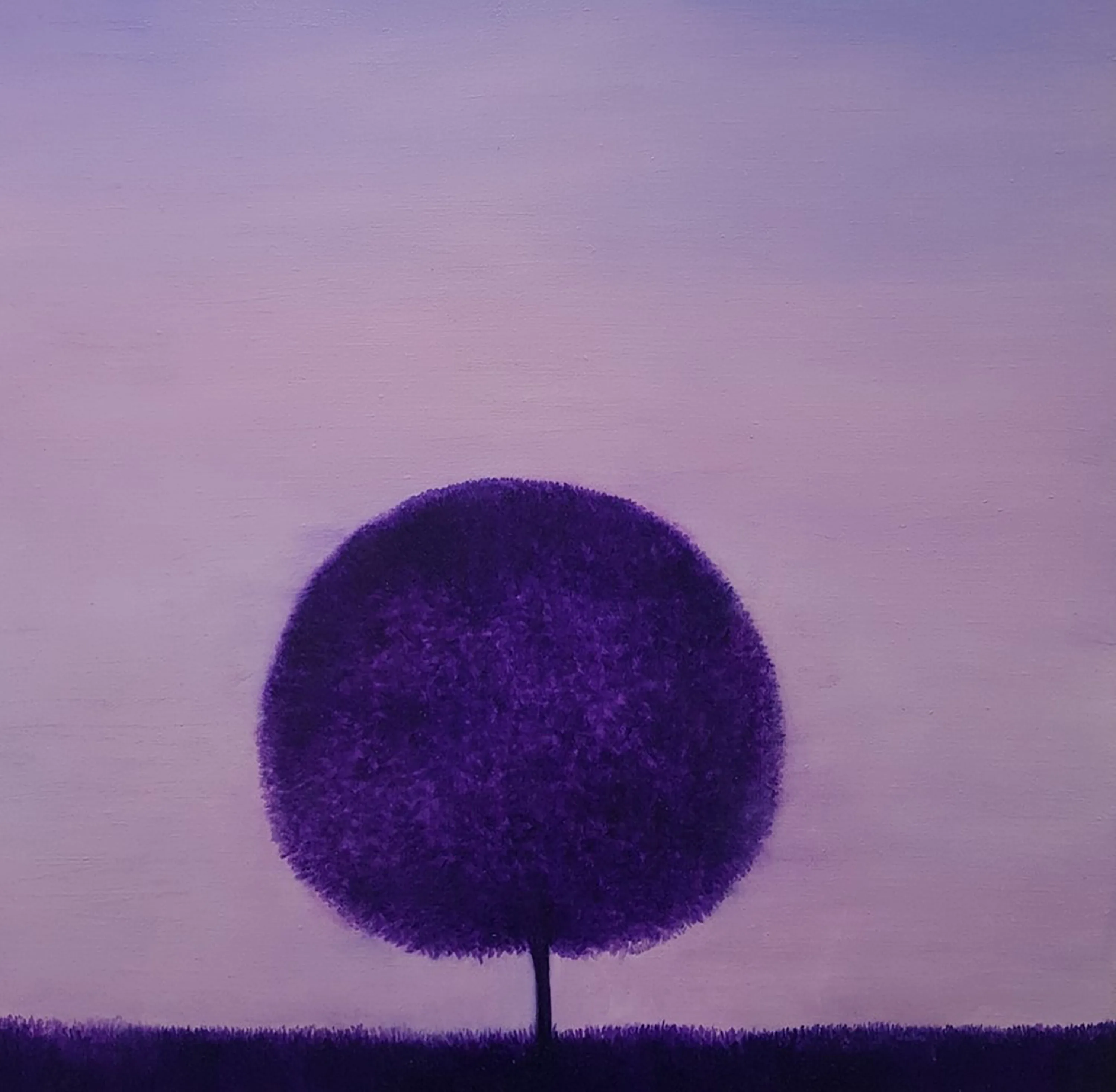 VIOLET TREE