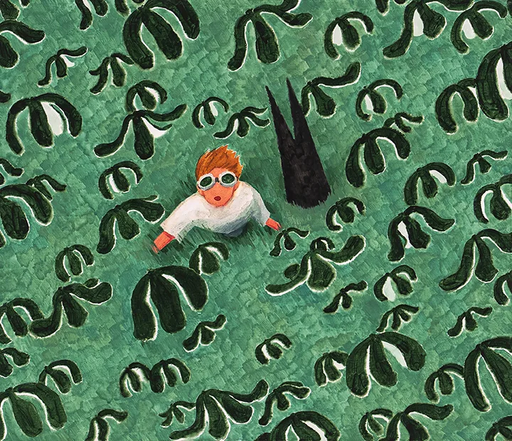알고보니 귤껍질이었다