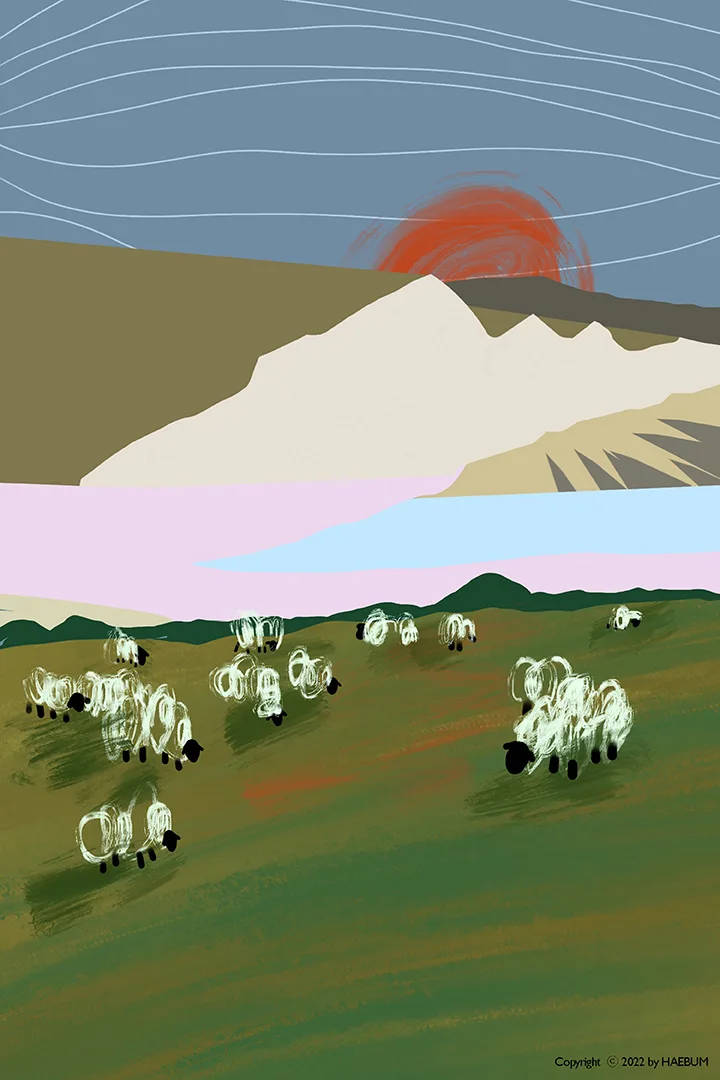 Sheeps Sheeps Sheeps