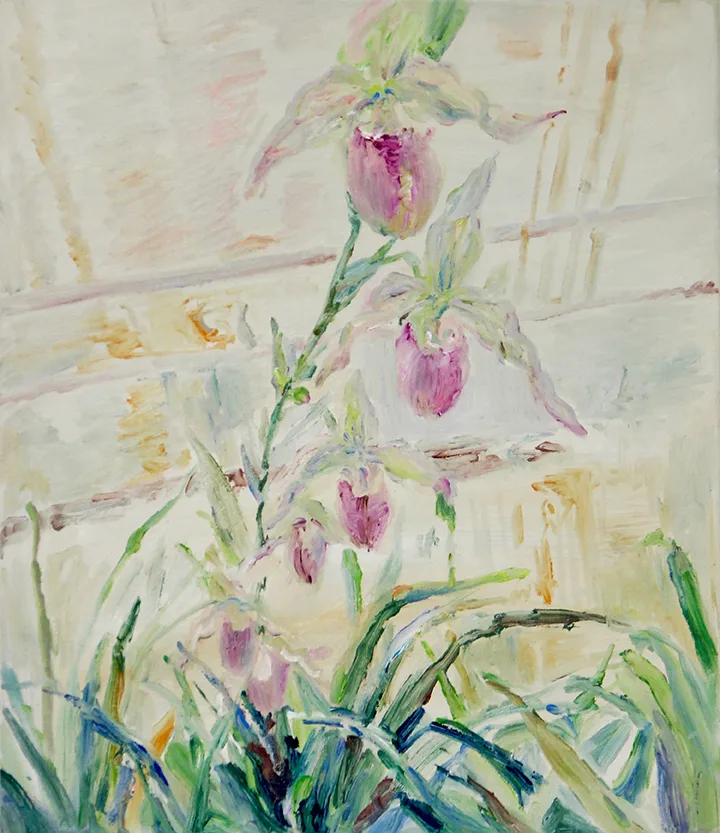 Orchid