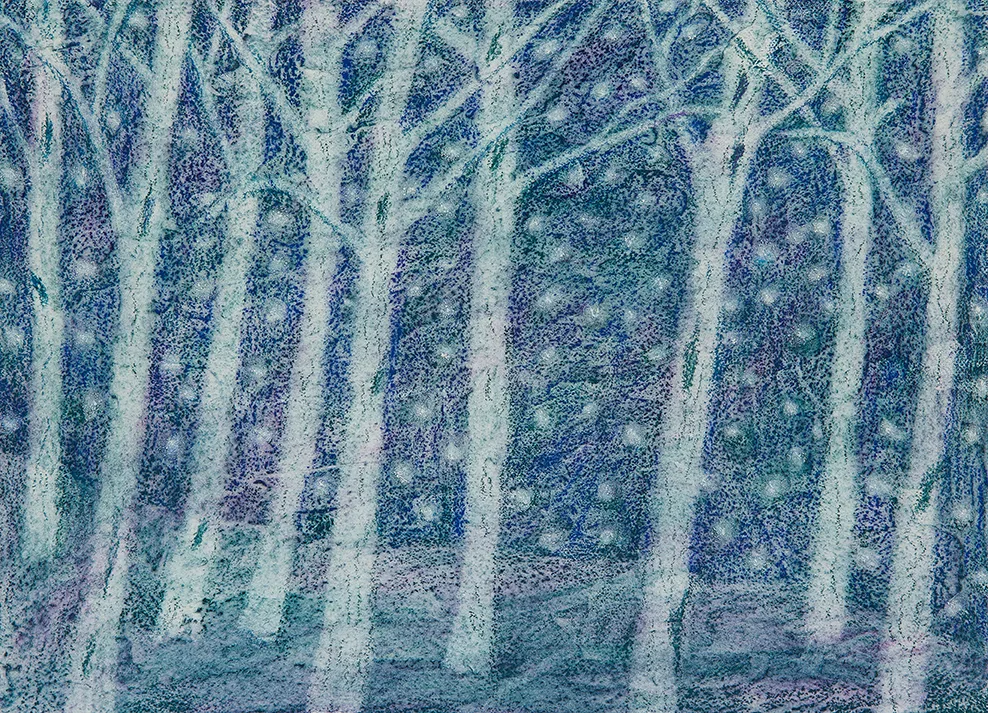 SOMEONE WHO GOES INTO THE FOREST