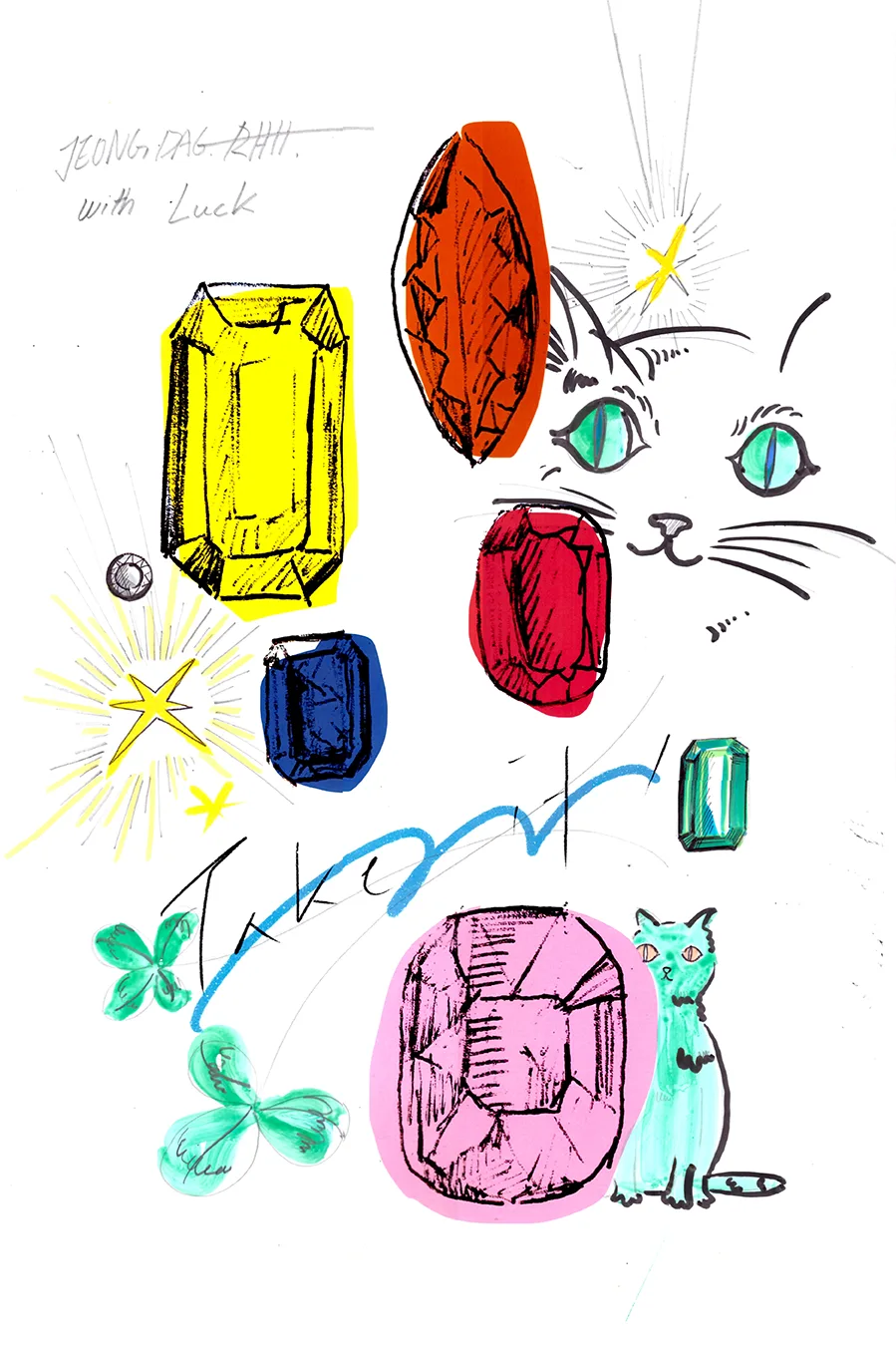 A CAT WITH LUCK