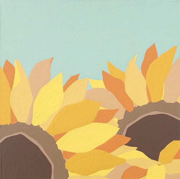 Sunflower-2