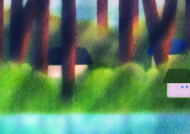 Little Forest