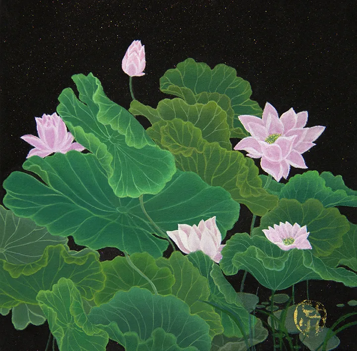 연꽃1
