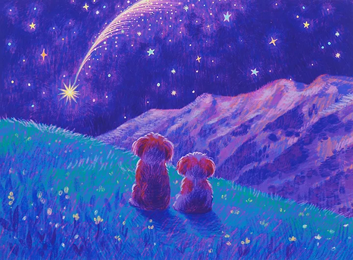 Starfalls