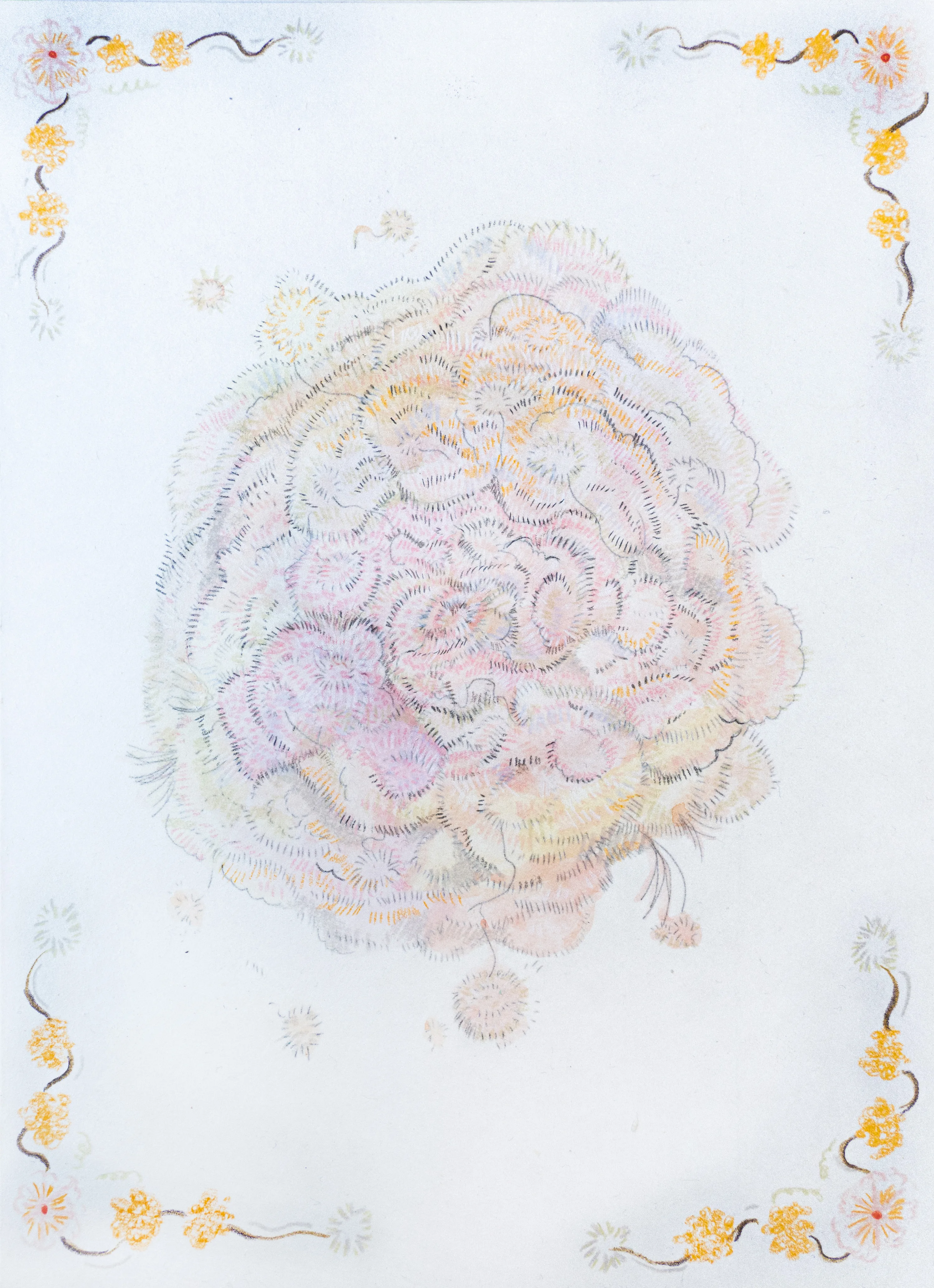 식물도감 시리즈 (Botanical Encyclopedia Series) NO.6