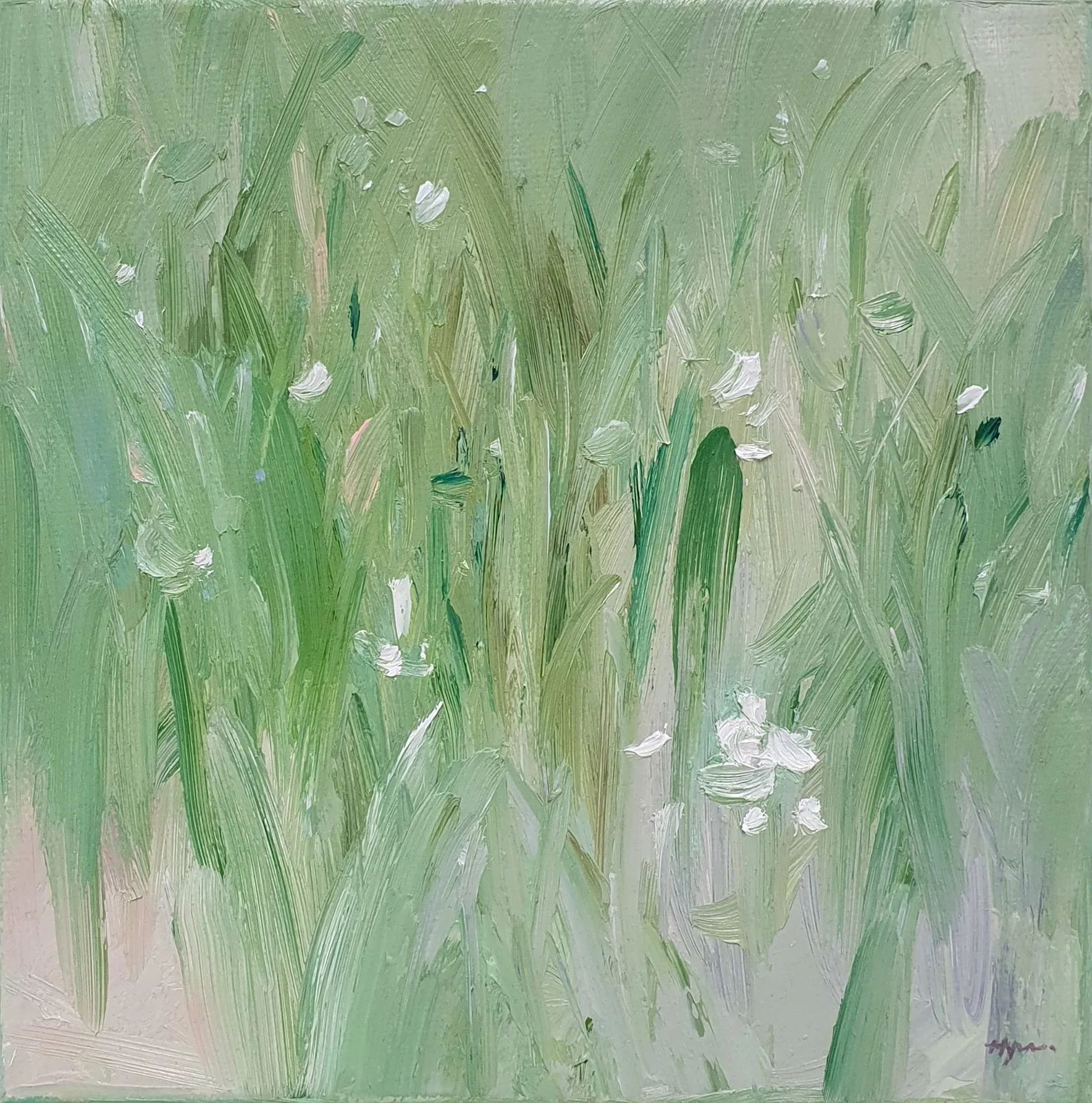 Wildflower #4