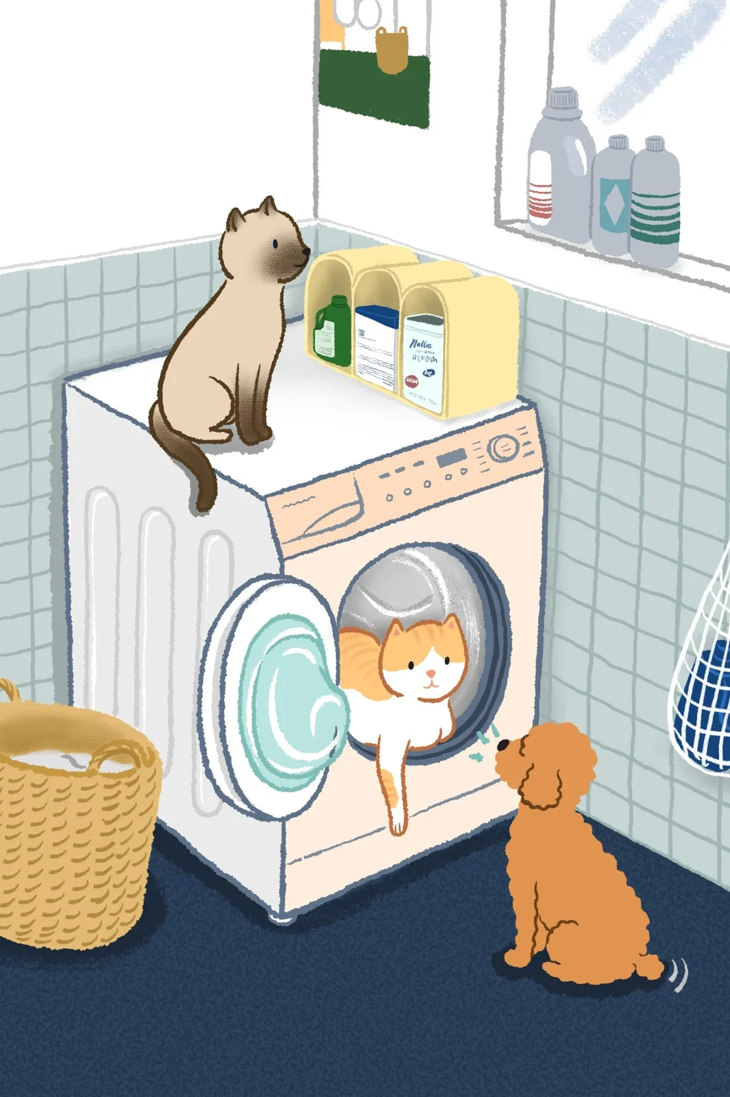 세탁실 숨숨고양이와 강아지
