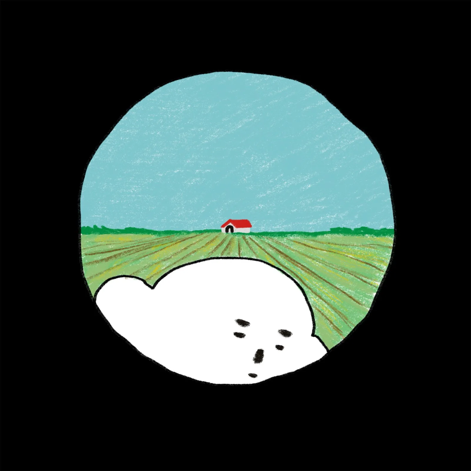 시력측정