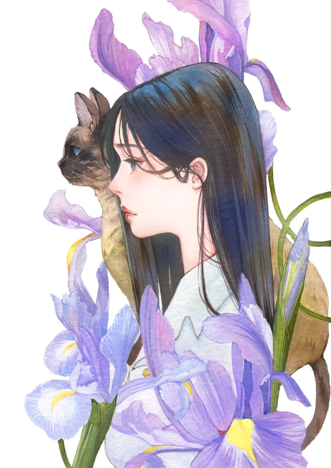 같은 시선