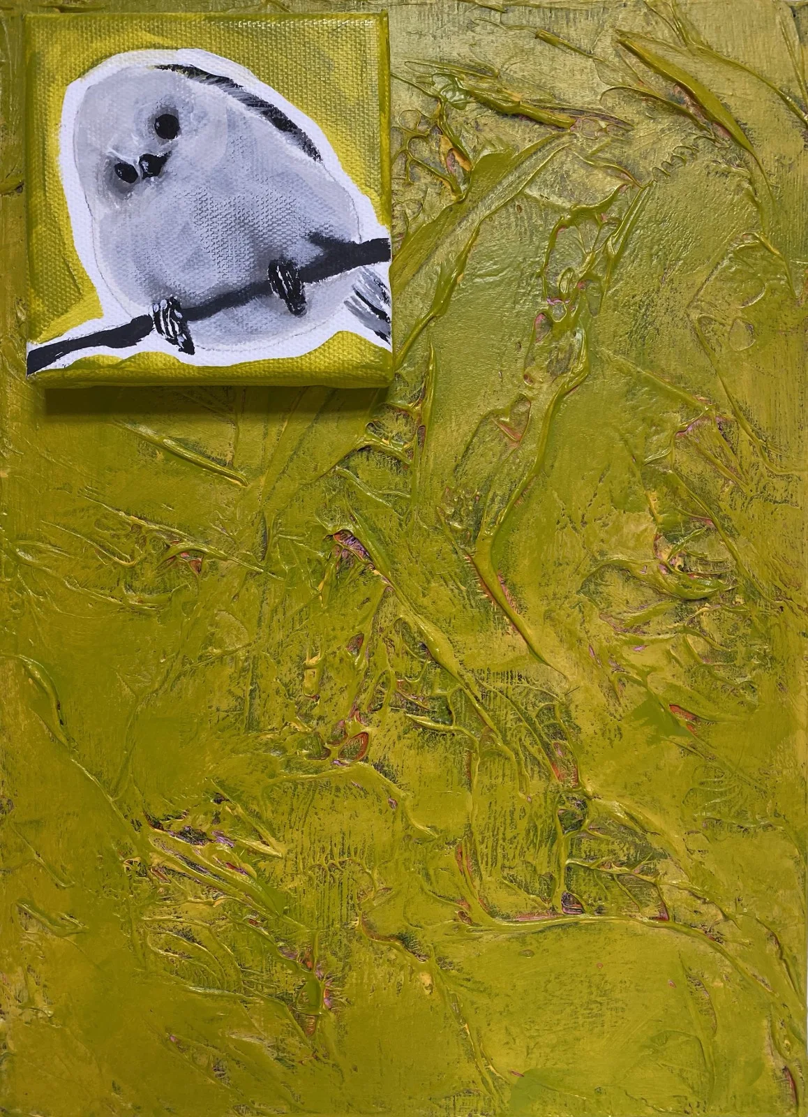 Bird 8