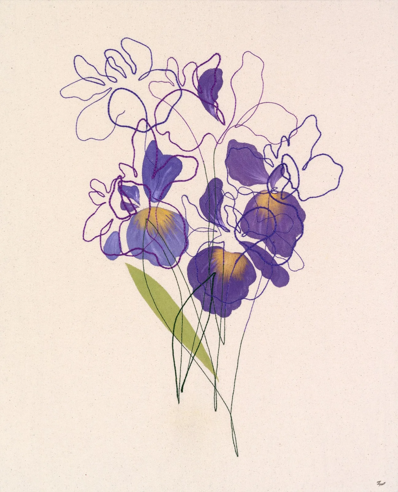 Iris