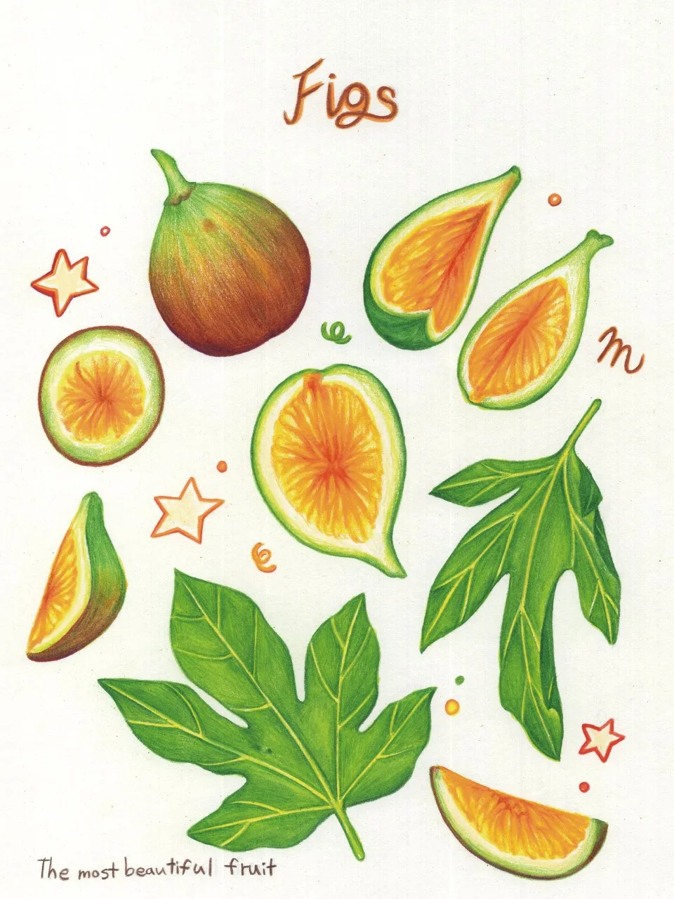 무화과 (The Most Beautiful Fruit)