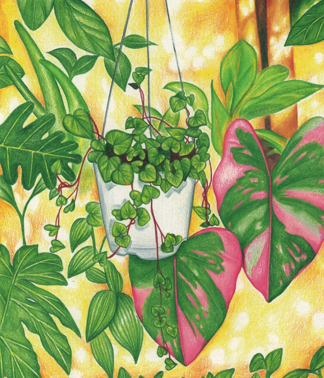 비밀의 정원 (A Secret Garden)