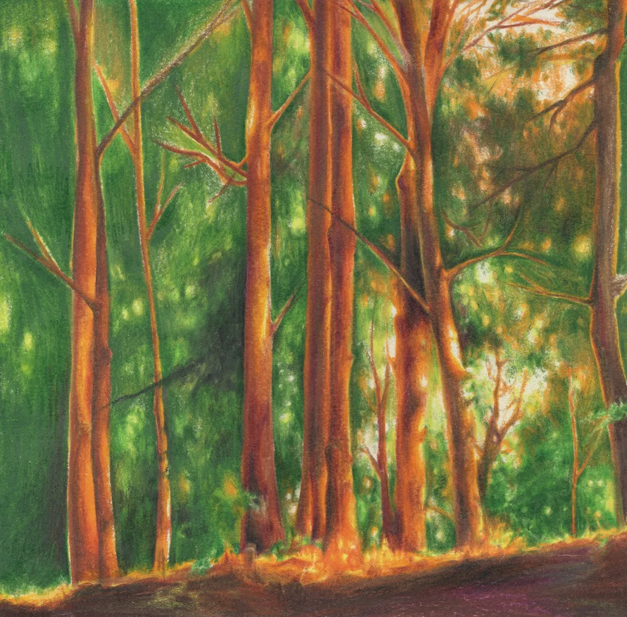 해지는 공원 (A Sunset Park)