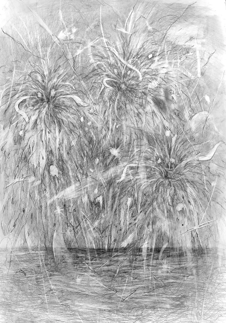 A Dancing Weed