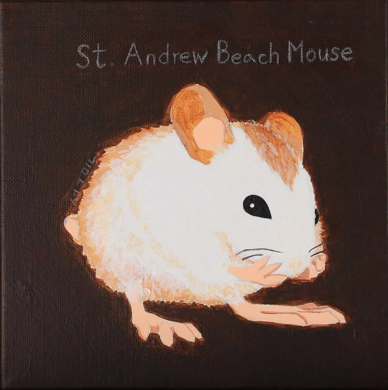 Not Just Another Mouse