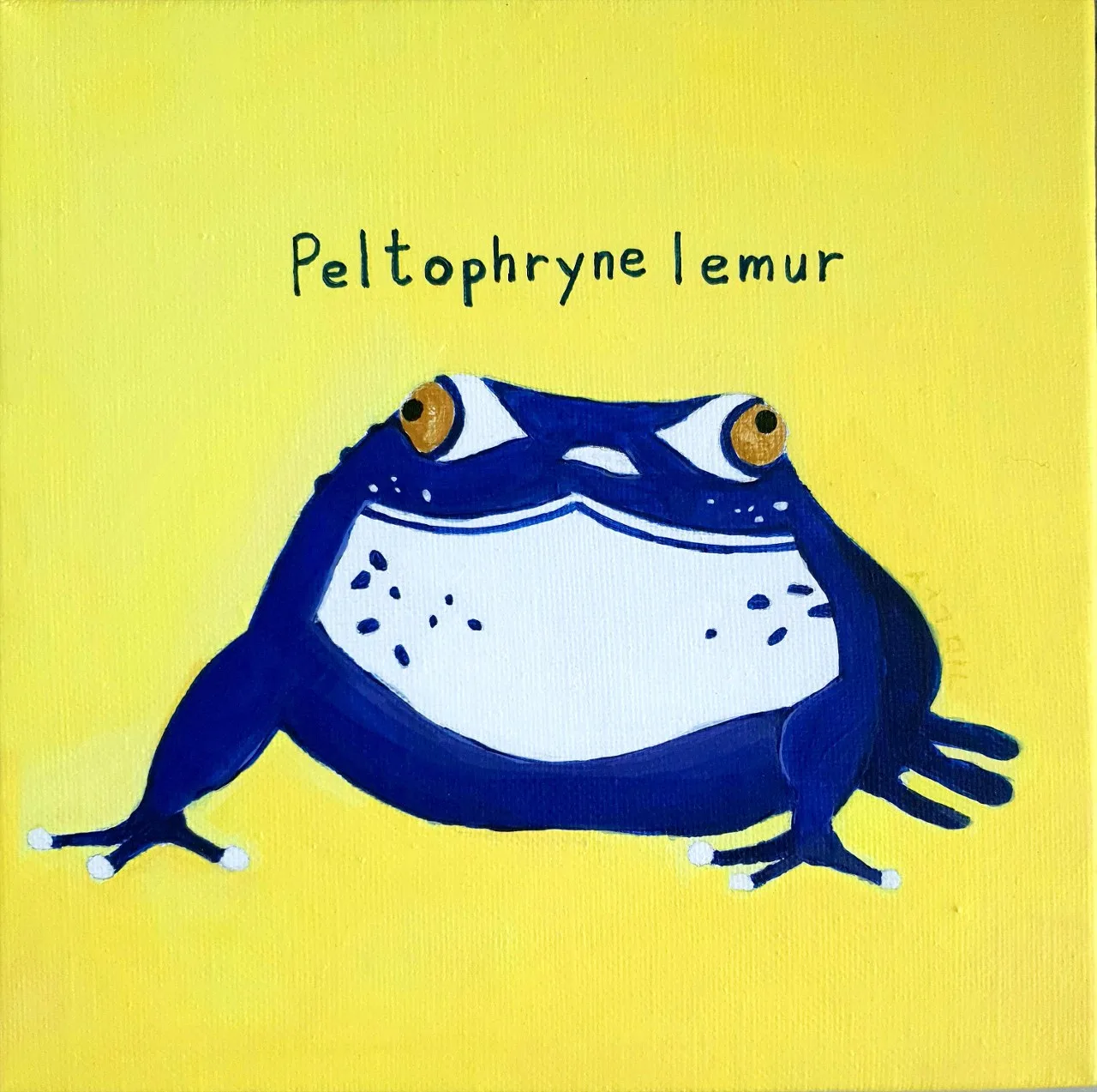 Not Just Another Toad