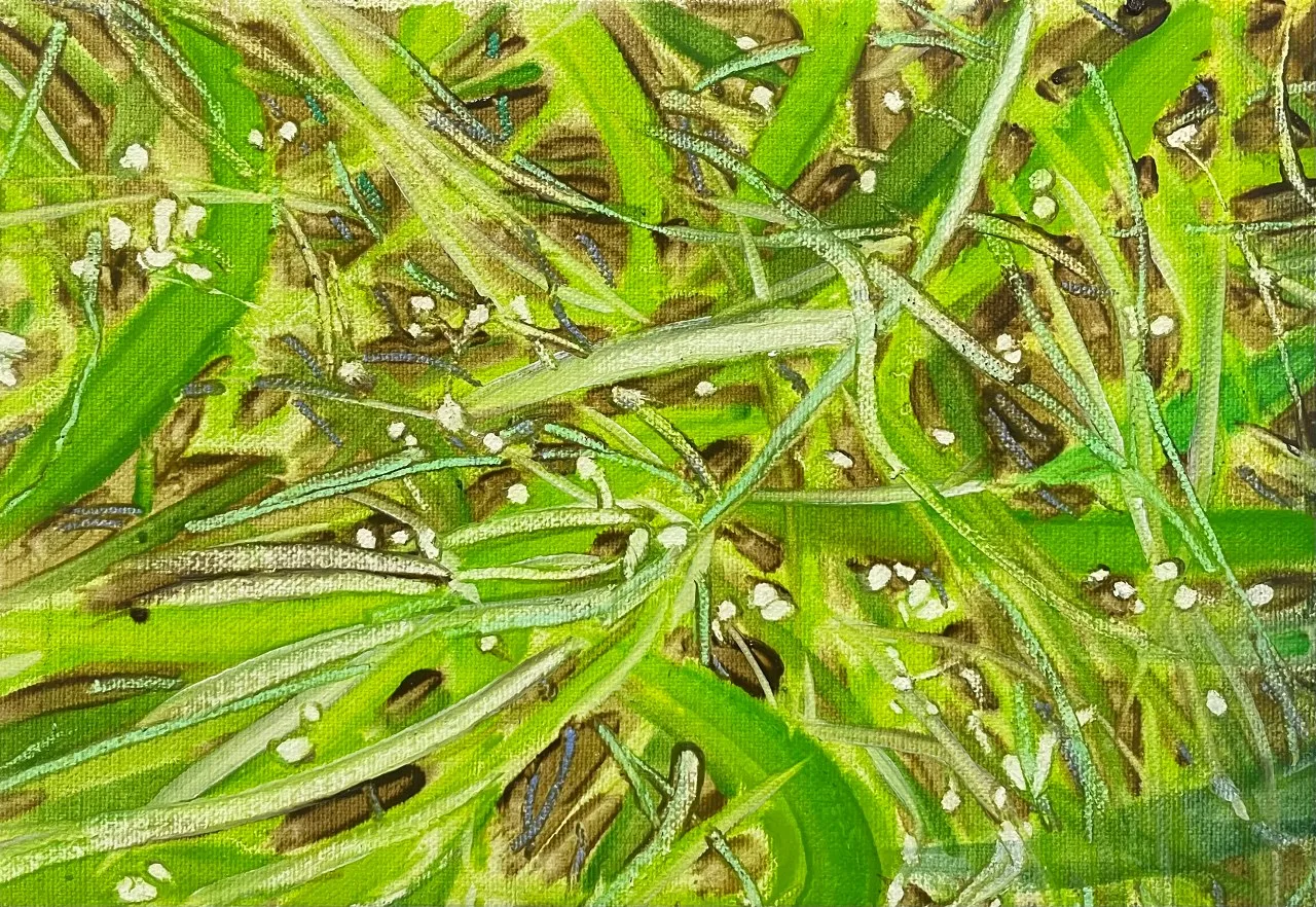 이른 아침