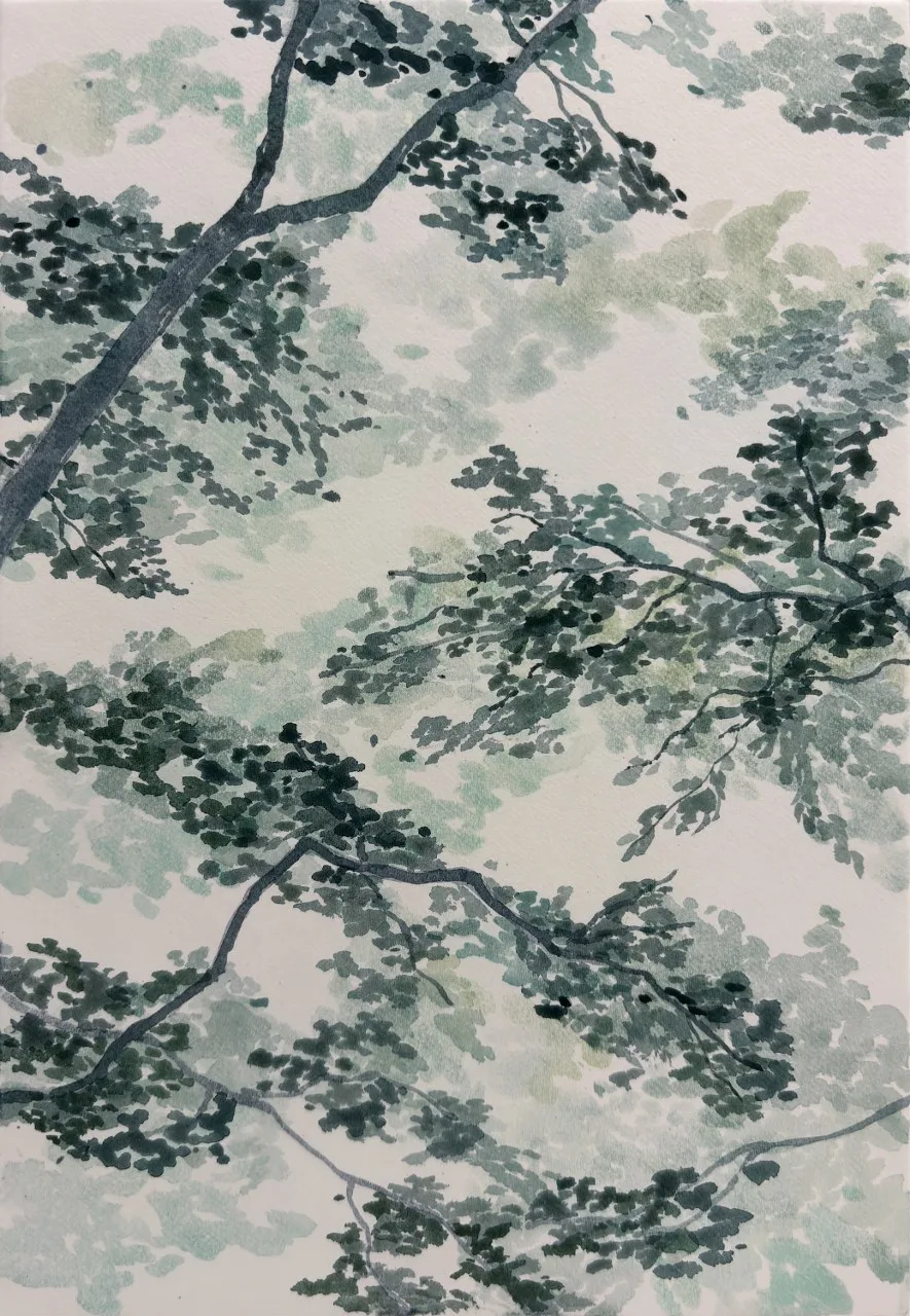 숲의 겹