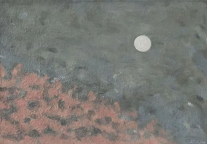 THE MOON