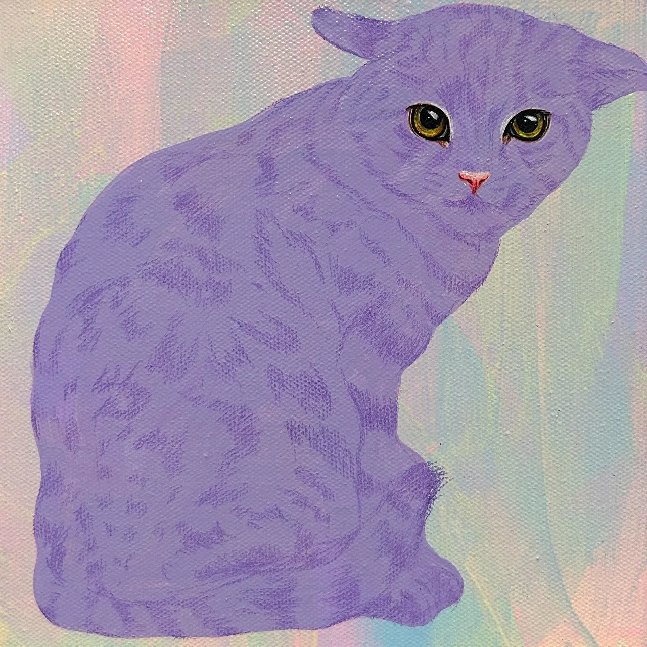 겁쟁이 캣