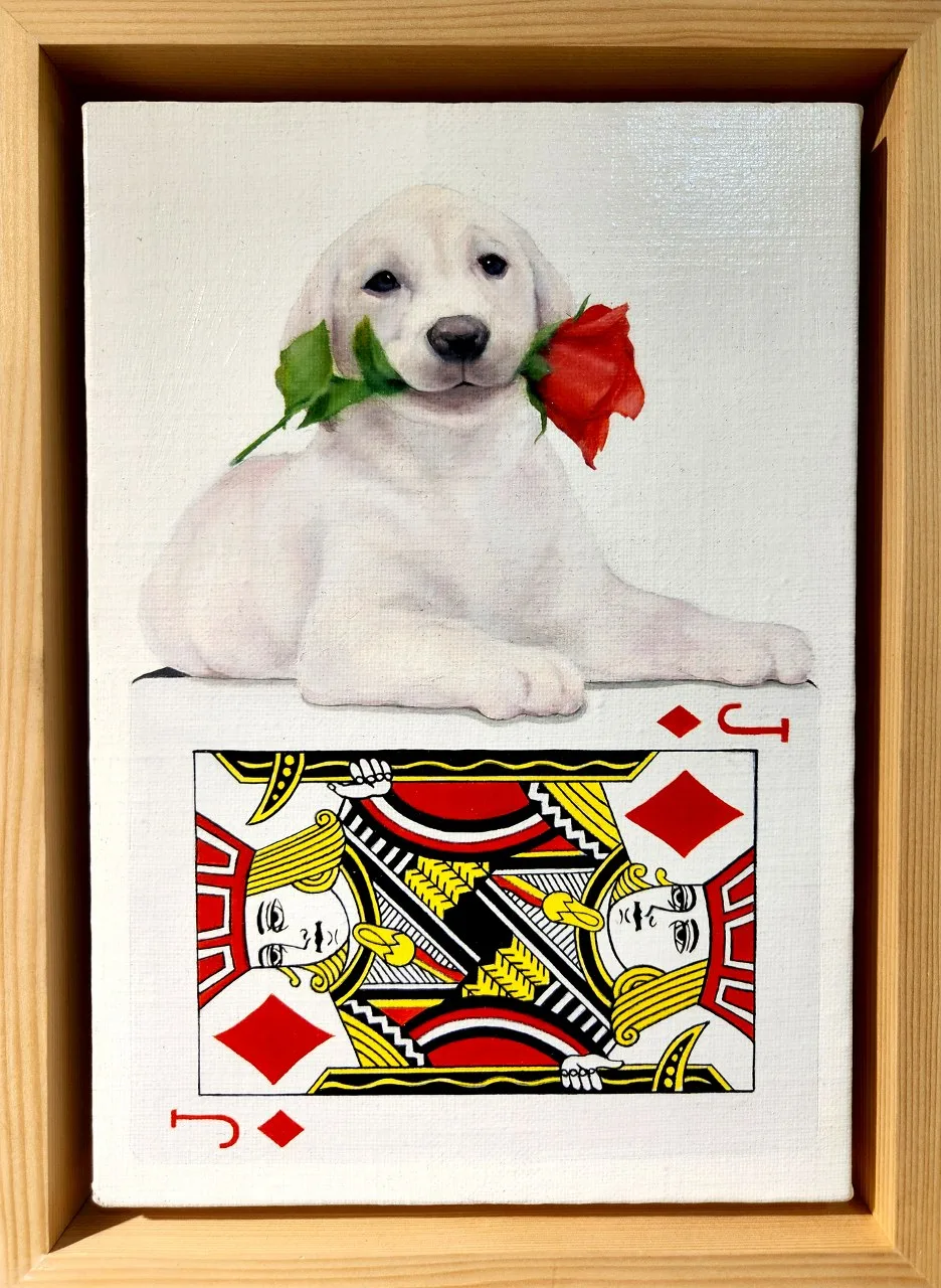 The tower of card-rose dog