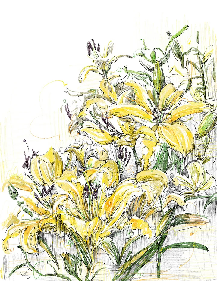 JUNE