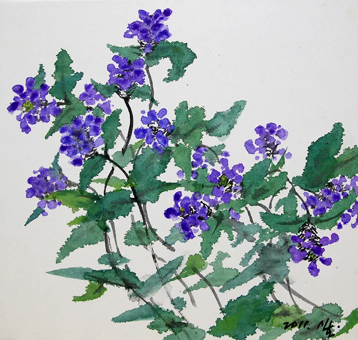 FLOWER OUT OF THE WIND 5