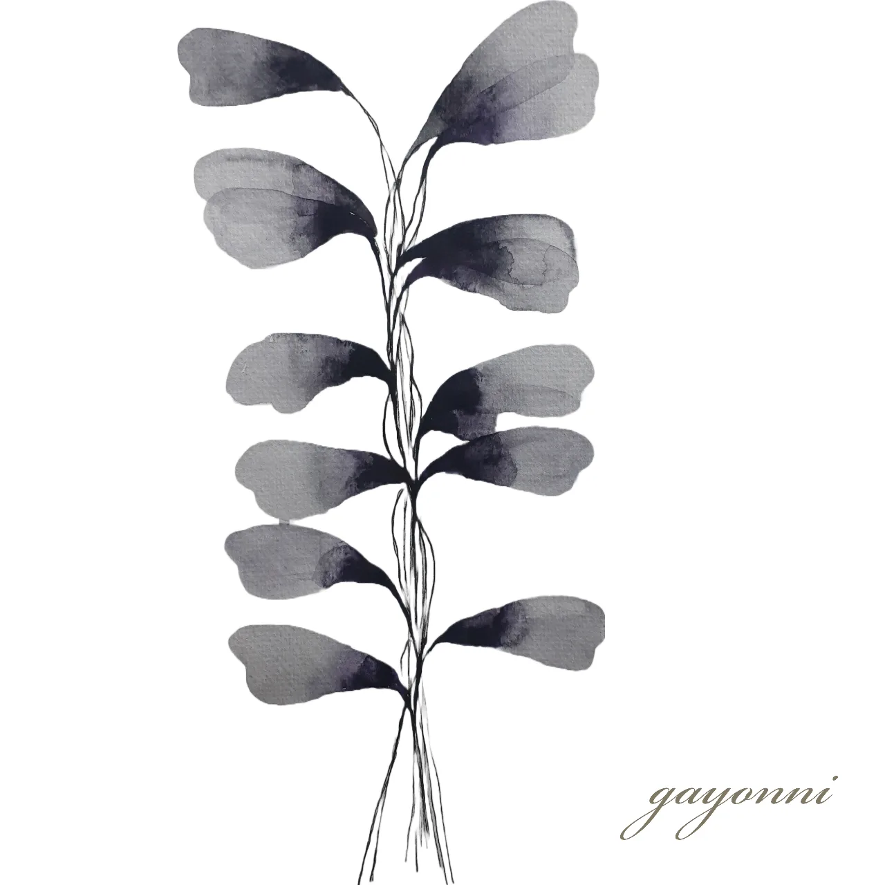 artist image