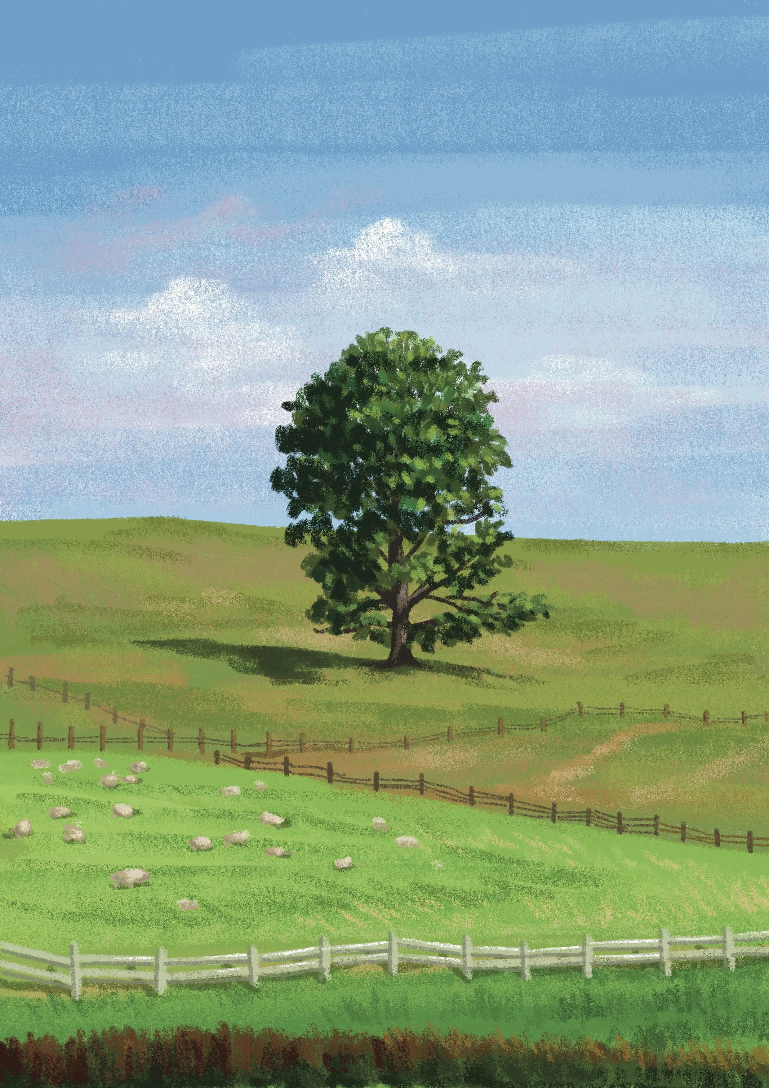 artist image