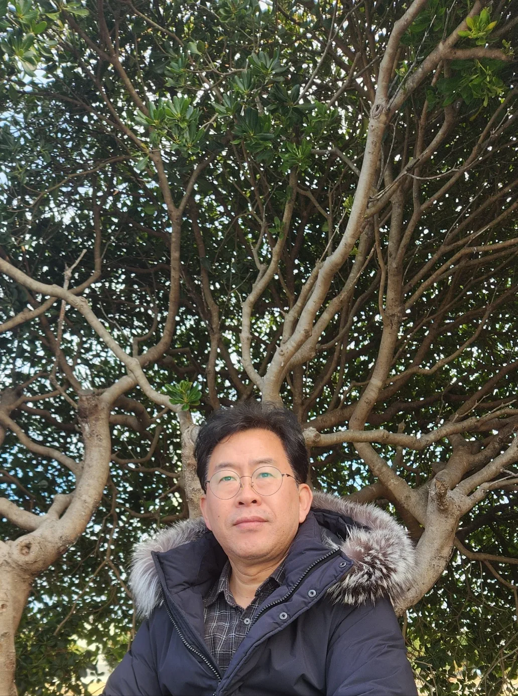 artist image