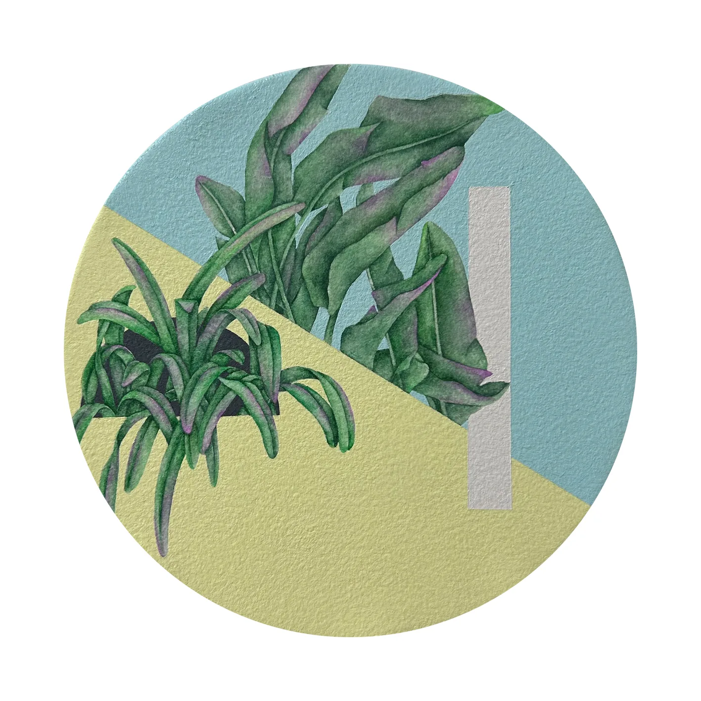 artist image