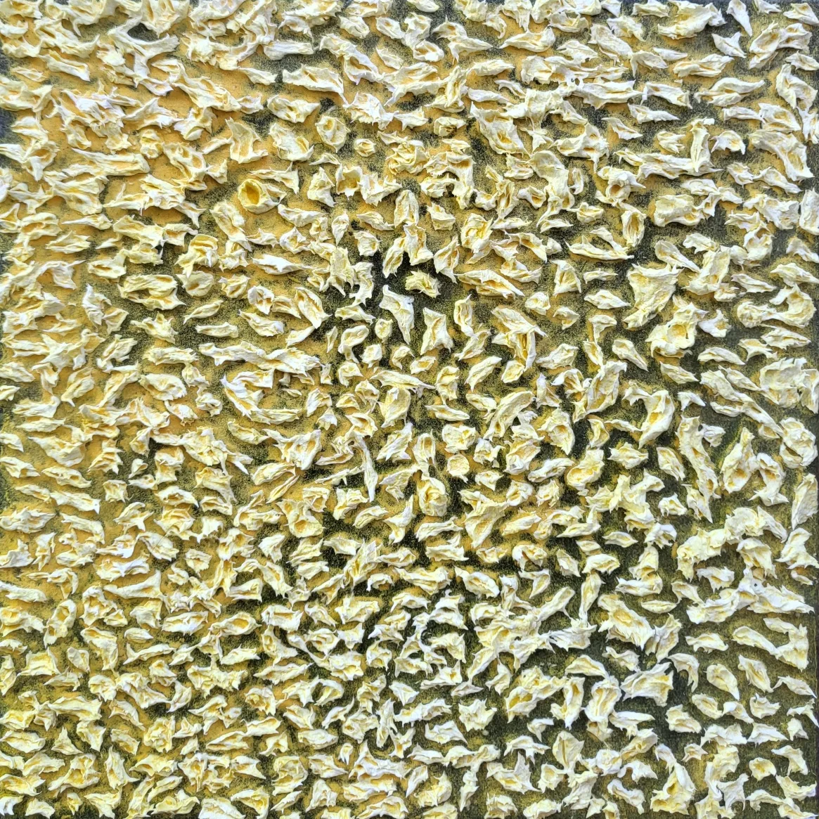 검은 바다 찬란한 빛