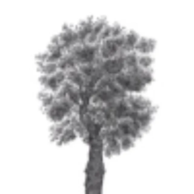 artist image