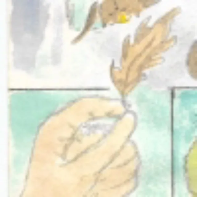 artist image
