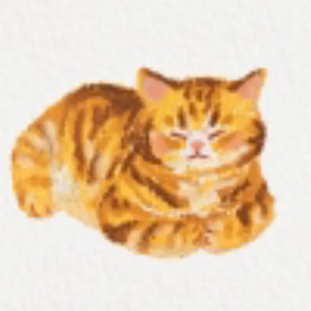 artist image