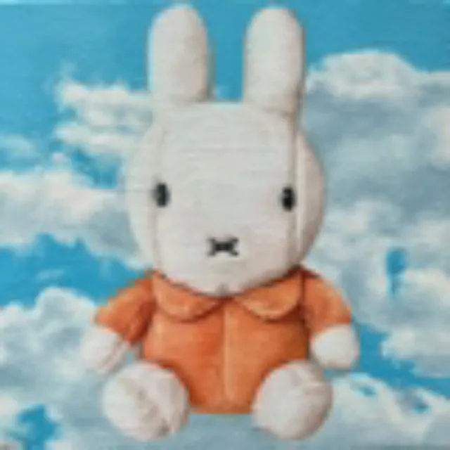 artist image