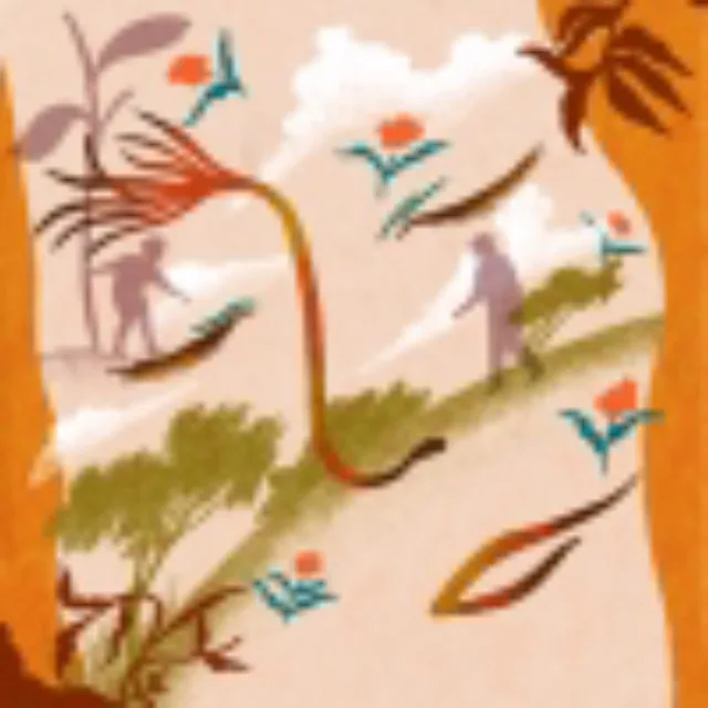 artist image